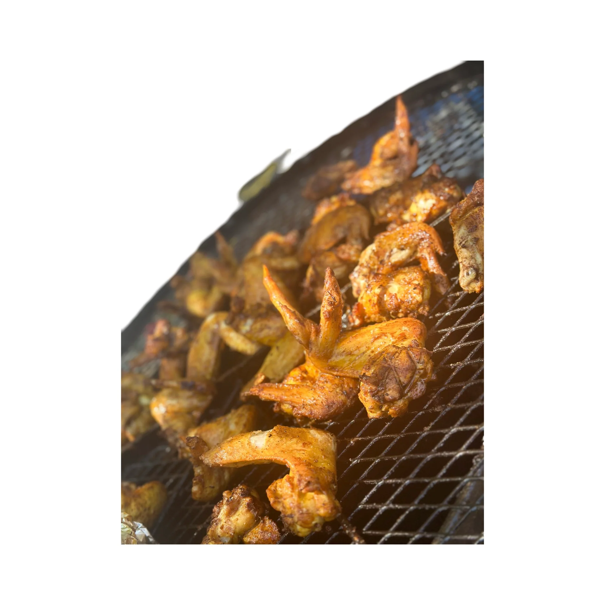 Project Wild Wings (M-Tray Size) - Image 3